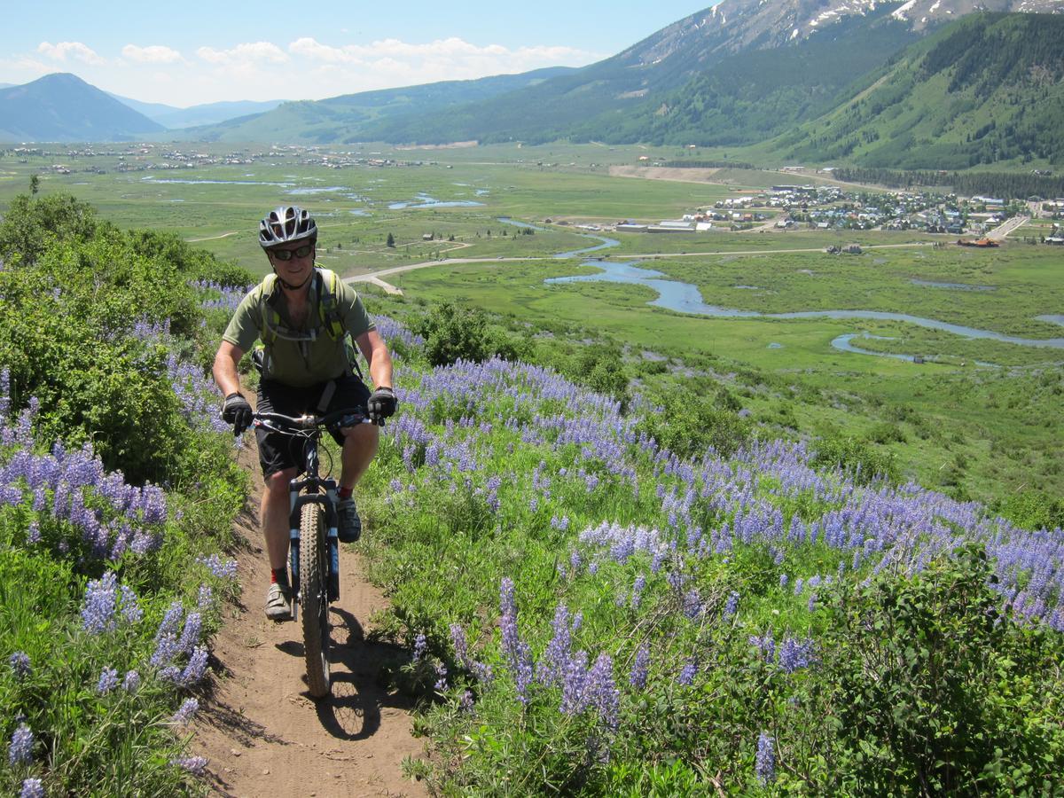 Purple Mountain Bed & Breakfast & Spa Crested Butte Esterno foto