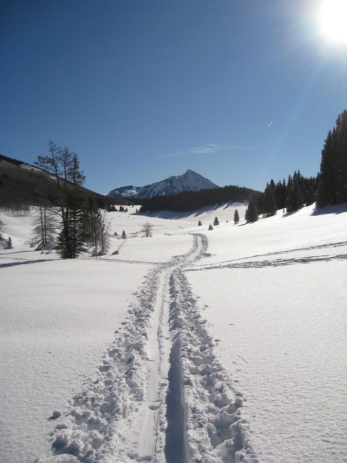 Purple Mountain Bed & Breakfast & Spa Crested Butte Esterno foto
