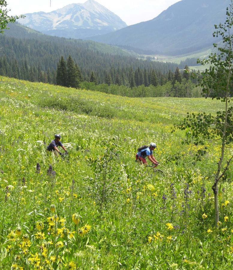 Purple Mountain Bed & Breakfast & Spa Crested Butte Esterno foto